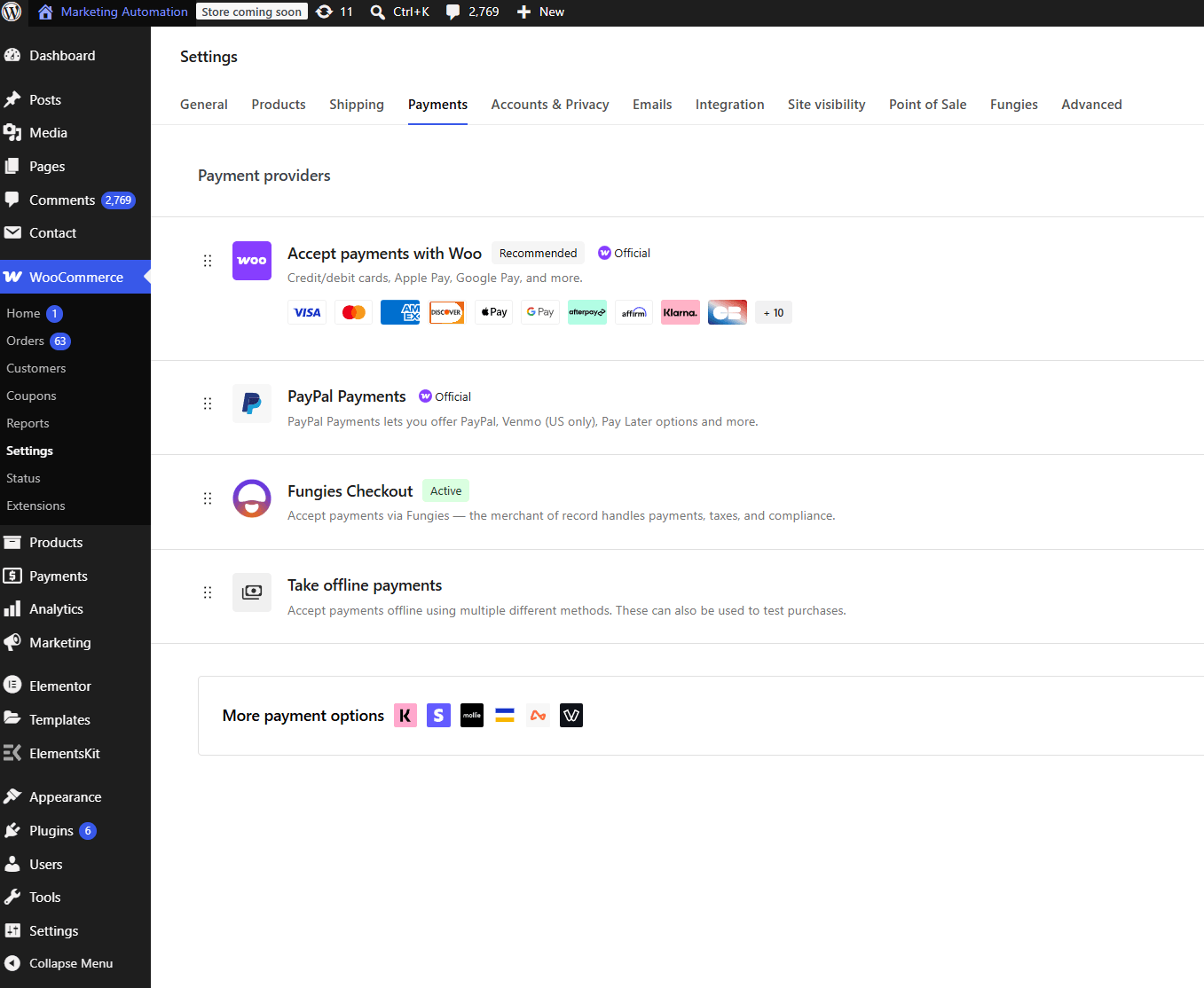 WooCommerce Payment Gateway: Accept Global Payments with Fungies for WooCommerce